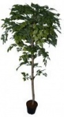 Искусственное дерево Береза Гелла (Код товара: 52369)