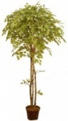 Искусственное дерево Береза Диор (Код товара: 50127)