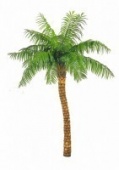 Искусственное дерево Кокосовая пальма Лани (Код товара: 84689)