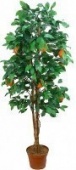 Искусственное дерево Апельсин Альби (Код товара: 52555)