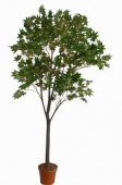 Искусственное дерево Клён Альпийский (Код товара: 55764)
