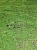 Искусственный мох Ковёр Зелёный 100*100см Арт-184