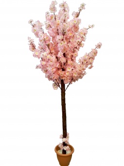 Сакура искусственная цветущая  нежно-розовая 150 см. Цветущая сакура - один из символов страны восходящего солнца, Цветок сакуры глубоко символичен в японской культуре.  Ствол декоративного растения изготовлен из натуральной древесины,а цветы из синтетиче