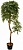 Искусственное дерево Береза Далли (Код товара: 52435)