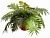 Искусственное растение Папоротник Лесли (Код товара: 67716)