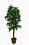 Искусственное дерево Лимон Гемп (Код товара: 47541)